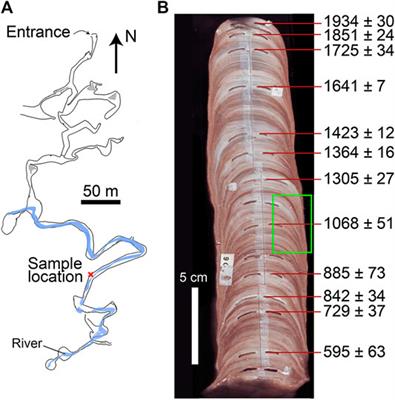 High-Resolution Environmental Magnetism Using the Quantum Diamond Microscope (QDM): Application to a Tropical Speleothem